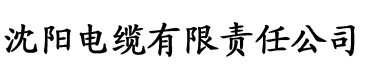 中文精品字幕电影在线播放视频电缆厂logo